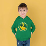 The Bananaconda Hoodie